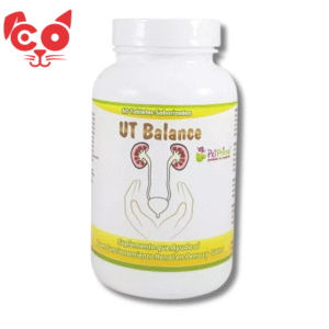 UT BALANCE X 60 TABLETAS