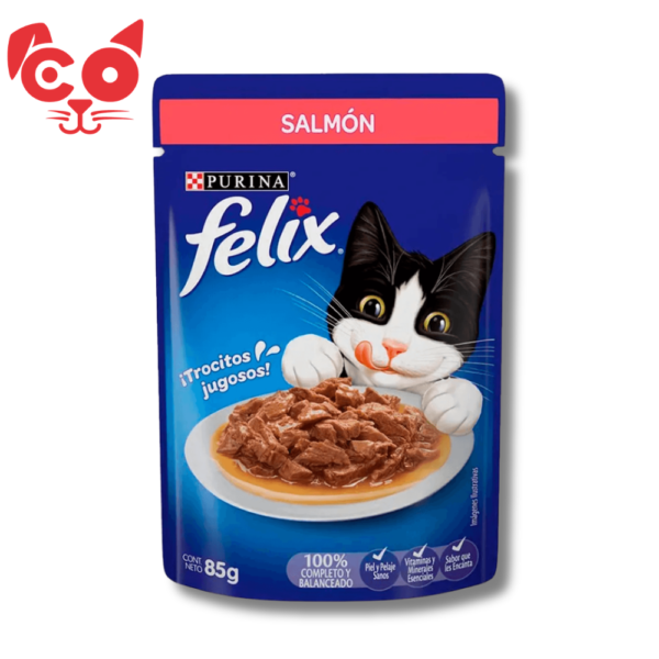 POUCH COMIDA HUMEDA FELIX