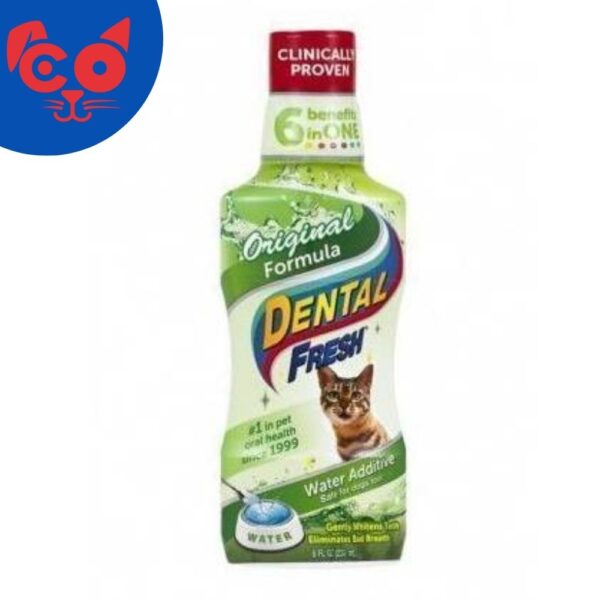 1053 DENTAL FRESH GATO 8 OZ