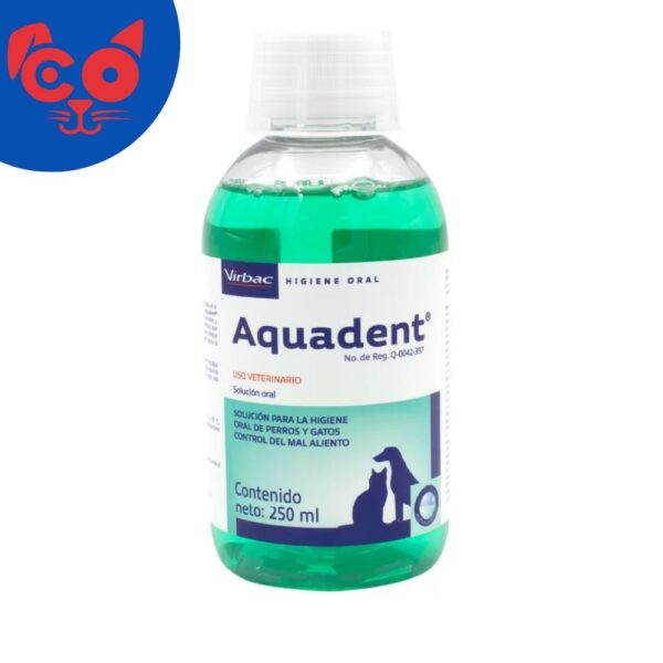 1080 AQUADENT 250 ML