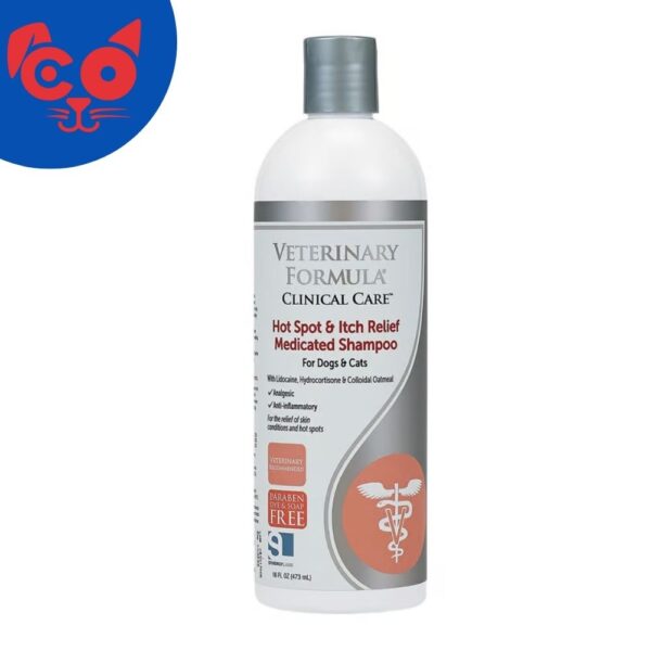 1106 SHAMPOO VFS HOT SPOT 16 OZ