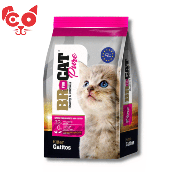 BR FOR CAT GATITOS