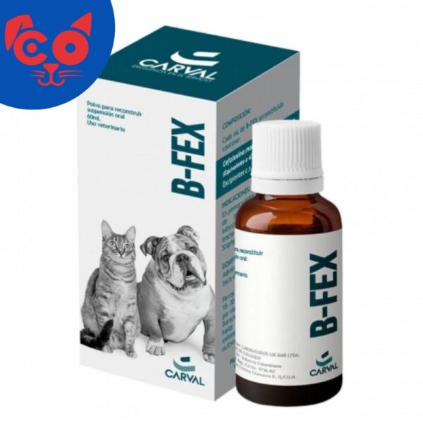 1254 B-FEX 60 ML