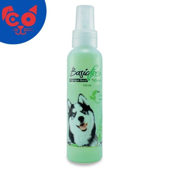 1286 BASIC FRESH 120 ML