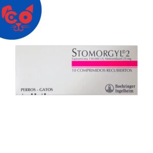 STOMORGYL 2 SOBRE X 10 COMPRIMIDOS