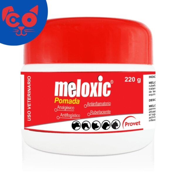 1325 MELOXIC POMADA 100G