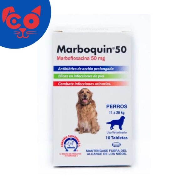 1381 MARBOQUIN 50 MG X 10 TABLETAS