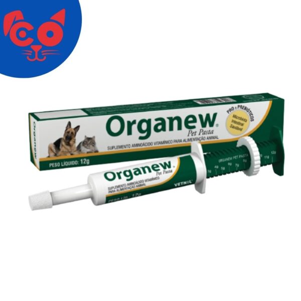 1384 ORGANEW PASTA
