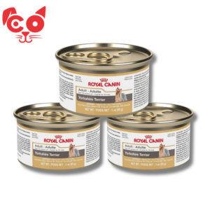 LATA ROYAL CANIN TRIPACK YORKSHIRE ADULT 85G