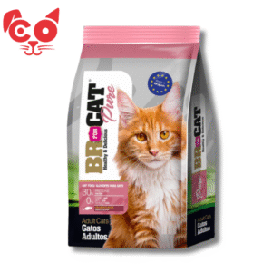 BR FOR CAT ADULTO SALMON