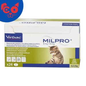 MILPRO KITTEN 4 MG/10 MG