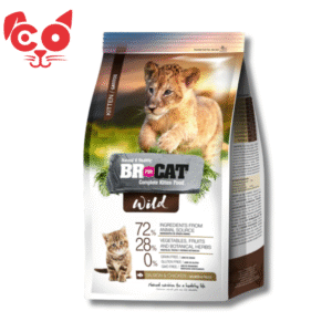 BR WILD GATITOS
