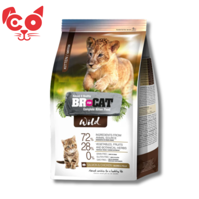 BR WILD GATITOS