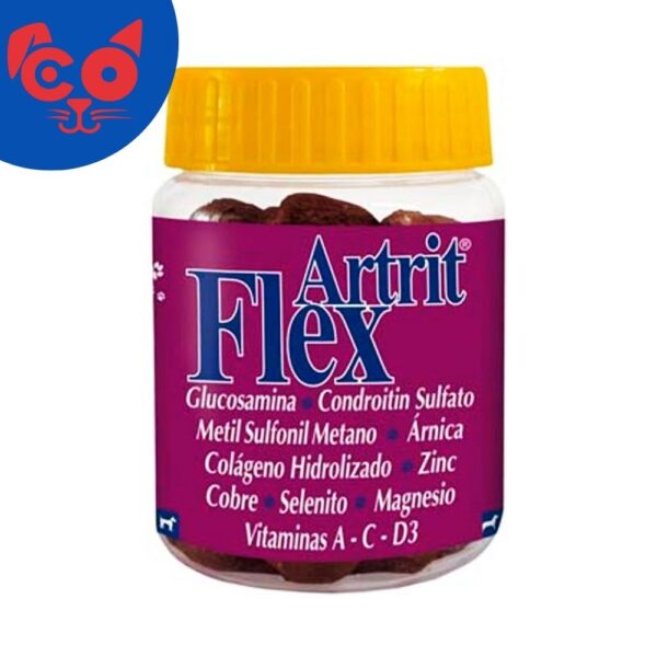 1553 FLEX ARTRIT NATURAL FRESHLY X 100 VITACRUNCH