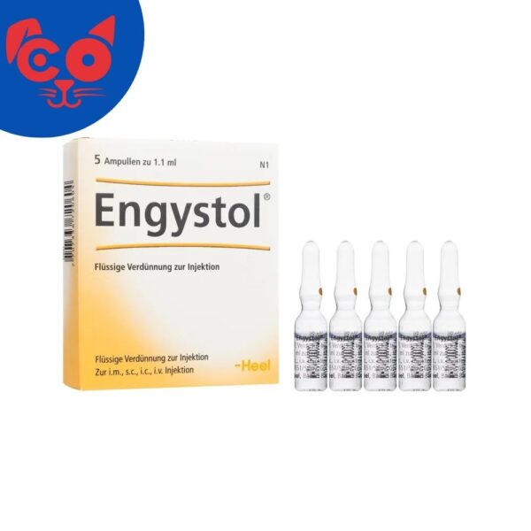1628 ENGYSTOL X 5 AMPOLLAS