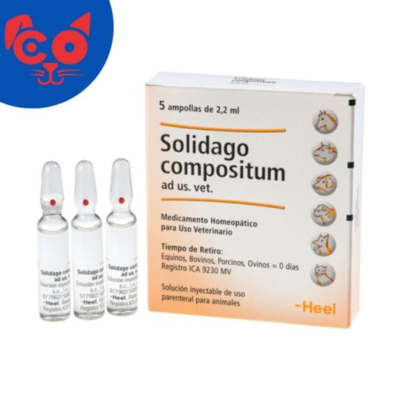 1648 SOLIDAGO X 5 AMPOLLAS