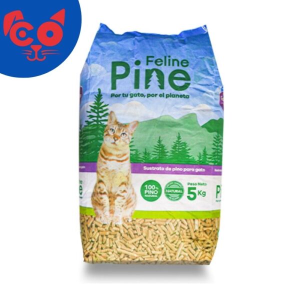 1682 ARENA FELINE PINE