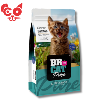 BR FOR CAT GATITOS SALMON