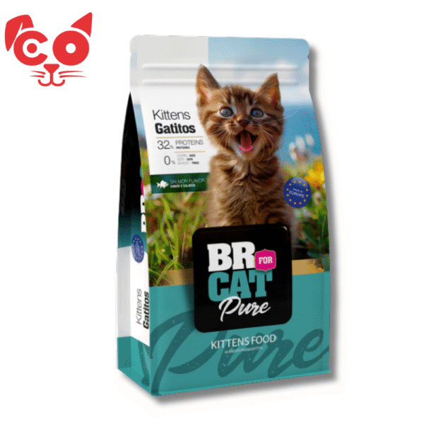 BR FOR CAT GATITOS SALMON