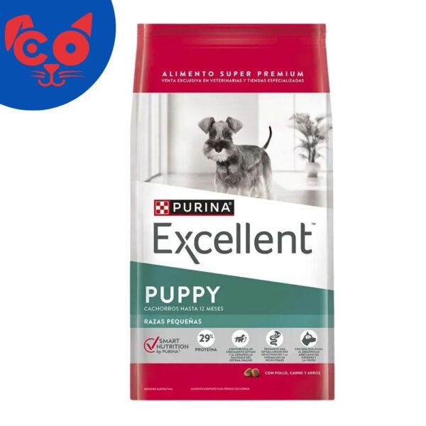 173 EXCELLENT PUPPY SMALL BREED