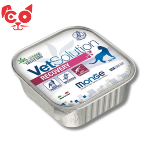 185 BANDEJA CAT MONGE VET RECOVERY 100 G