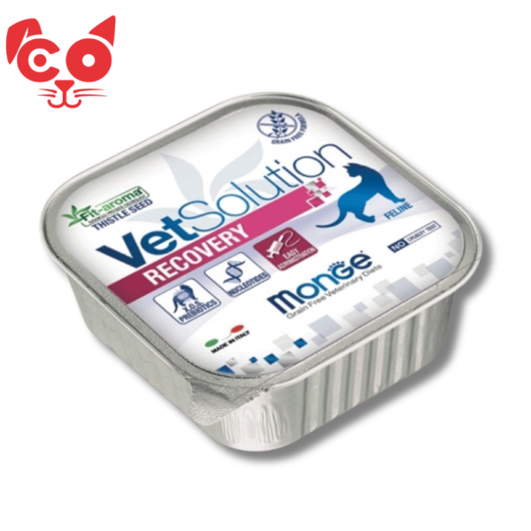 BANDEJA CAT MONGE VET RECOVERY 100 G