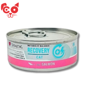 LATA DISUGUAL CAT RECOVERY SALMON 85G