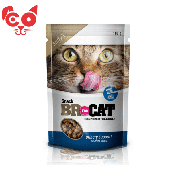 2 BR SNACK SOFTY URINARY SUPPORT 100 GR
