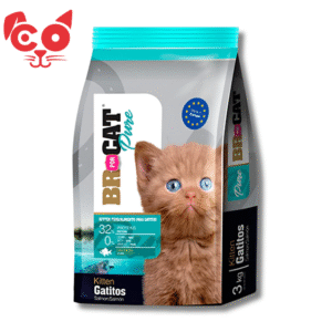 BR FOR CAT GATITOS SALMON