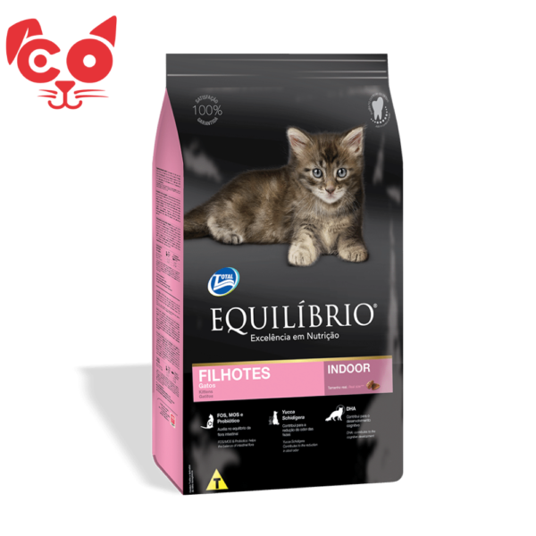25 EQUILIBRIO GATO FILHOTE
