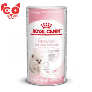 ROYAL CANIN BABY GATO MILK 300G