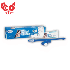 372 ORAL CARE