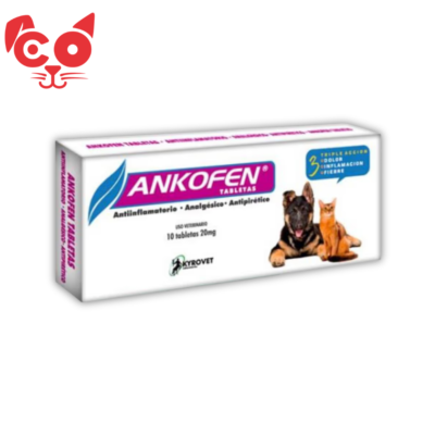 ANKOFEN 10 TABLETAS 20 MG