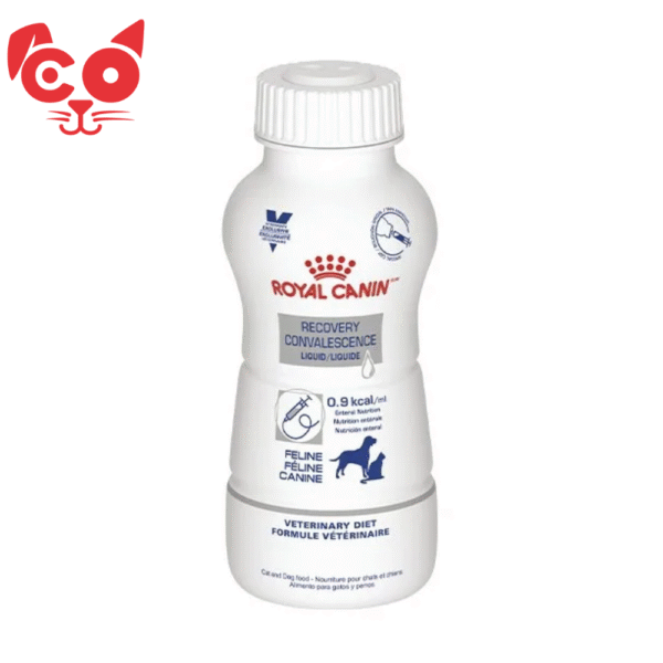 376 ROYAL CANIN RECOVERY CONVALESCENCE UNIDAD 8OZ