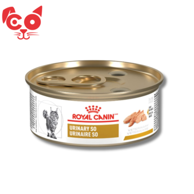 LATA ROYAL CANIN URINARY CAT 145 G