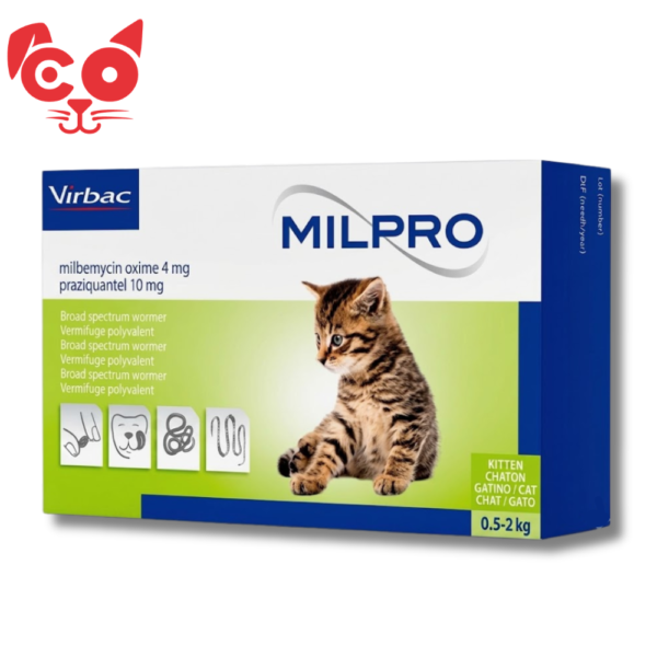 485 MILPRO KITTEN 4 MG/10 MG