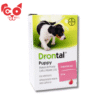 DRONTAL ANTIPARASITARIO