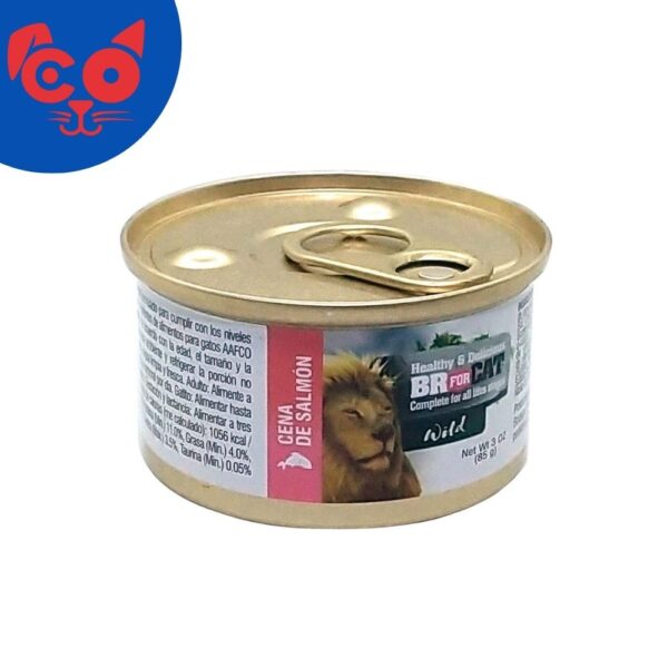 504 LATA BR WILD FOR CAT SALMON 85 G