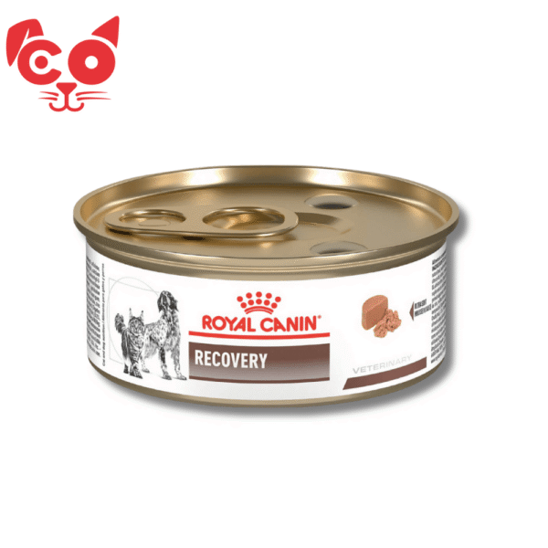 LATA ROYAL CANIN DOG RECOVERY 145G