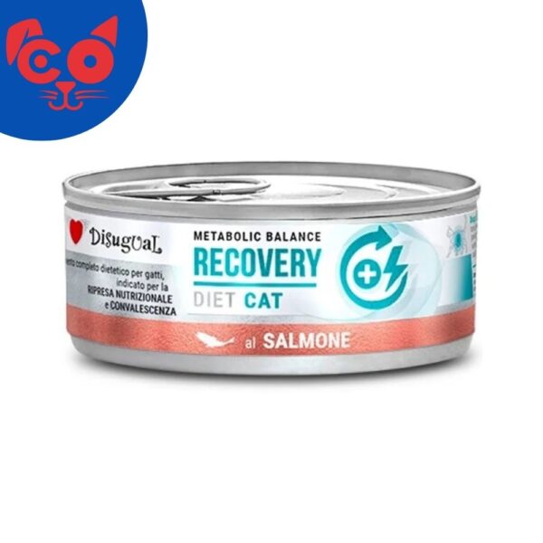511 LATA DISUGUAL CAT RECOVERY SALMON 85G