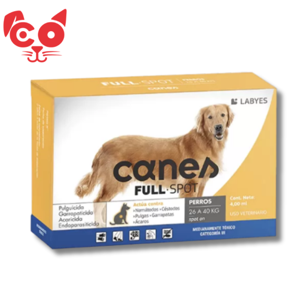 53 CANES FULL SPOT 26 A 40 KG