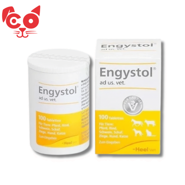 ENGYSTOL
