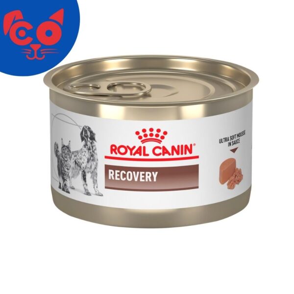 570 LATA ROYAL CANIN DOG RECOVERY 145G