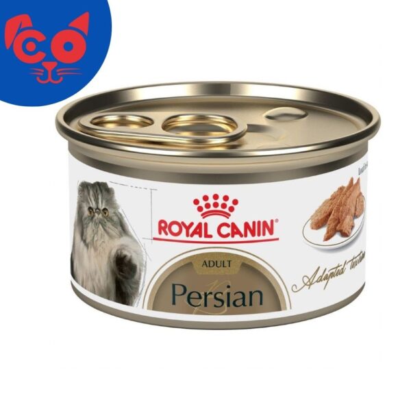 578 LATA ROYAL CANIN PERSIAN ADULTO 85 G