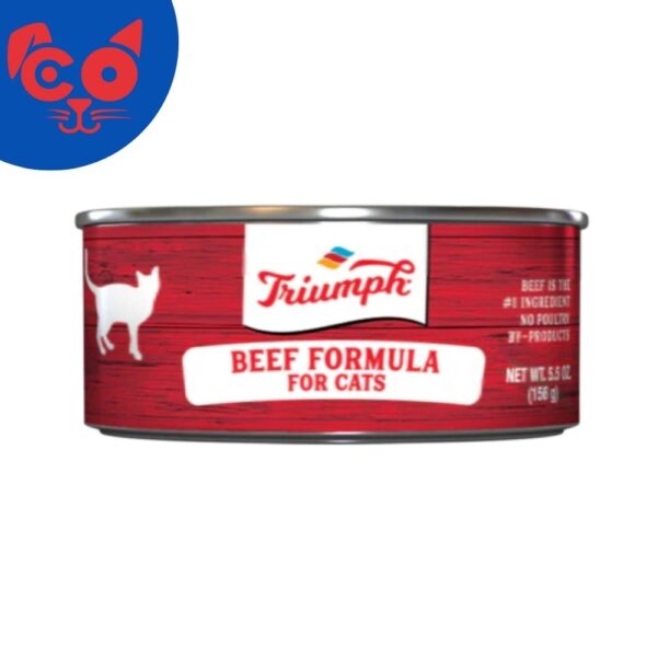 591 LATA TRIUMPH CAT WILD SPIRIT CARNE 156G