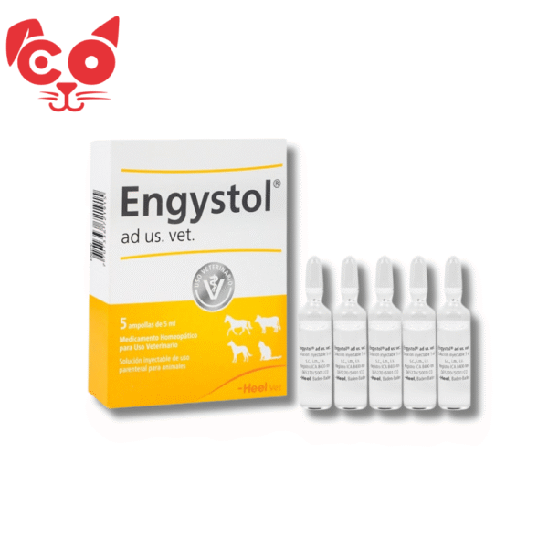 ENGYSTOL X 5 AMPOLLAS