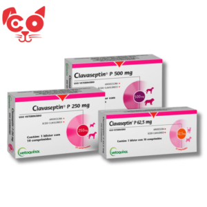 CLAVASEPTIN X10 TABLETAS
