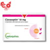 82 CLAVASEPTIN X10 TABLETAS