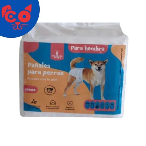 956 PAÑALES PARA HEMBRA CALABAZA
