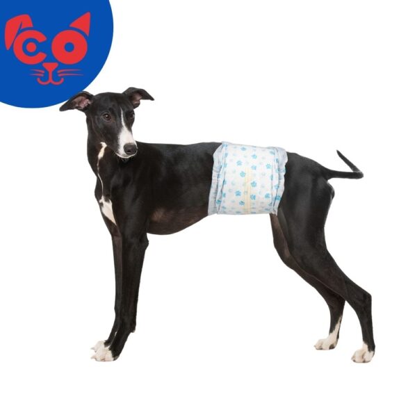 966 PAÑALES PARA HMACHO CALABAZA TALLA S